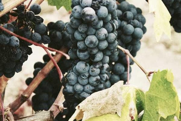 Why Induction Hardening is Preferred Over Flame Hardening